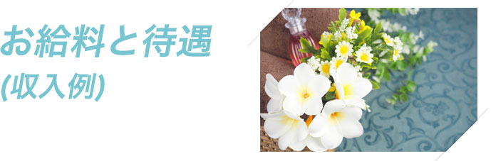 お給料と待遇(収入例)